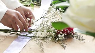 "Roses in Every Season: A Year-Round Floral Journey"