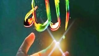 Video 298