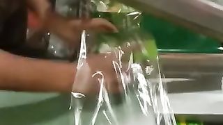 Sealer plant