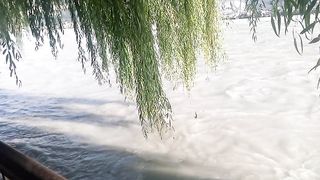 Chinar Bagh (G.B Paratha Hotel) Gilgit.