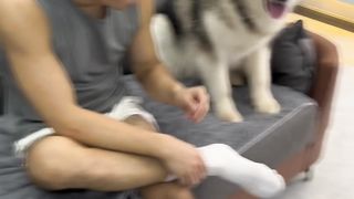 Noty dog 2
