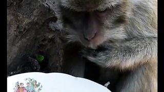 Do not forget to eat#fyp
