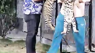 Tiger baby 3
