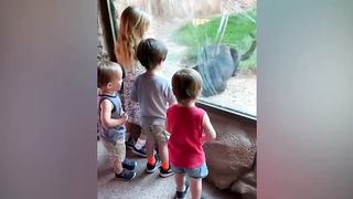 TRY NOT TO LAUGH CHALLENGE #1- Baby Shark Doo Doo 2