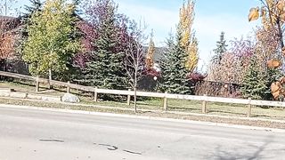Canada beauty 38
