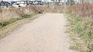 Walks in autumn