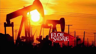 Flor salvaje 102