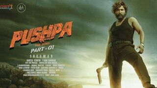 Pushpa: The Rise Full Movie