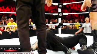 WWE реслинг 254