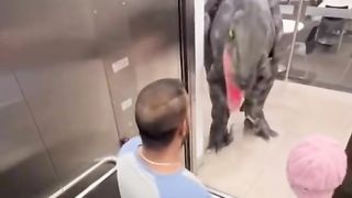 laughing-and-people-pranks #laughter-with-fools