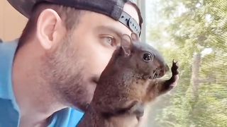 Animal Shorts #44