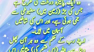 Kalma Tayyaba | Surah Ibrahim | Quran Quotes