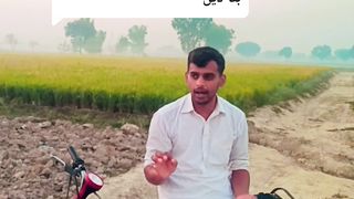 گندم کے لیے اچھا بیج کون سا لیں