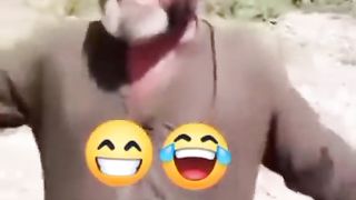 ???????????? 185