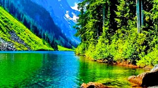 Natural view | The Breathtaking Beauty of Nature | 4K Nature Video |Relaxation soul | Febspot