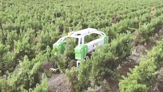 55 Most Unbelievable Agriculture Machines and Ingenious Tools ▶10