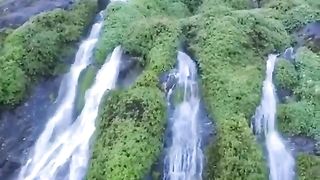 Natural video 50