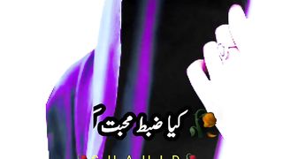 Wo larki shayad pagal thi