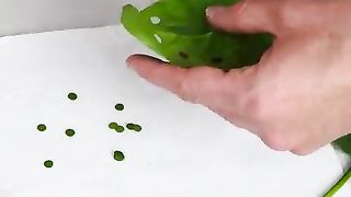 You Can See Photosynthesis In Real-Time