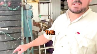 Crawfish Machinery | HOW WE SORT CRAWFISH BY SIZE ????