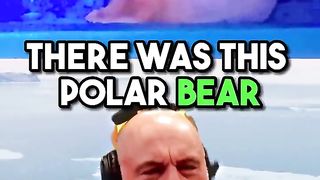 The HORRIFYING Life of POLAR BEARS in Captivity | JRE