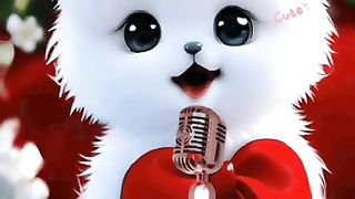 New cute cat Urdu song
