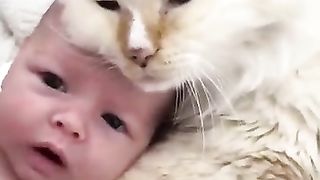 أطفال و قطط مضحكة ❤️????