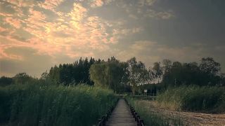 Love nature