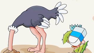 Where is he head