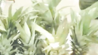 Pengupasan buah nanas
