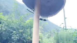 Funny video2023 2