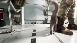 Russia Military | Barmaley the Cat, Mascot of Russian Aerospace Forces Helicopter Crew | S | RCF