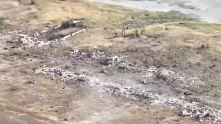 Ukraine Russia War | Russian Vehicle Detonates Mine, Crew Disembarks, More Vehicles Approa | RCF