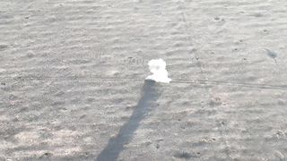 Ukraine Russia War | Russian Vehicle Shelled in the Open | Avdeevka Direction | RCF
