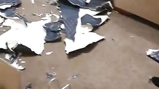 Oops | Wallpaper Mishap: The Seven-Month-Old's Tale | PupMischief | FunFM