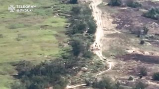 Ukraine Russia War | Cluster Munitions Strike Russian Infantry in Zaporozhye | RCF