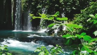 Relaxing Music for heals the mind and body | Stress Relaxing Music Stop overthinking