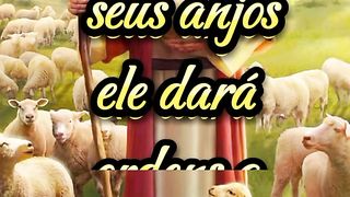 Versículo do Dia. 16