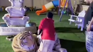 ???????????????????? 68