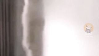 Funny Animals moment 2