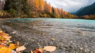 Autumn is just reach to every part of the world