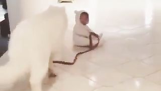 cute walk