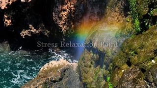 Soothing Music heals the mind and body | Music for the Soul| Stress Relaxing Music
