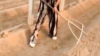 Creative Farming Tools #satisfying #shot