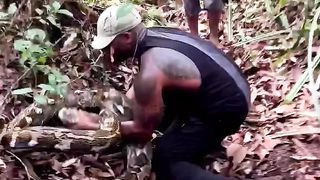 Fearless Encounter- SnakeJitsu Would you try this.