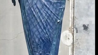 Dog is a good helper