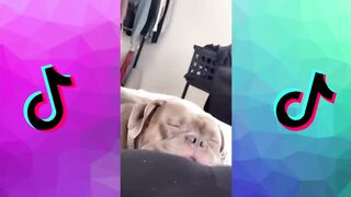 Funny Tik Toks That Don't Let Me Sleep ????????