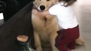 Toddler Gives Dog a Hug Before Going to School