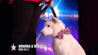 Judges Cry Over Emotional Dog Magic Act on Britain's Got Talent 2022_ Magician's Got Talent