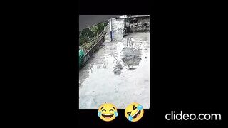 Funny Dog Must watch